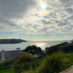 Sea view from garden
